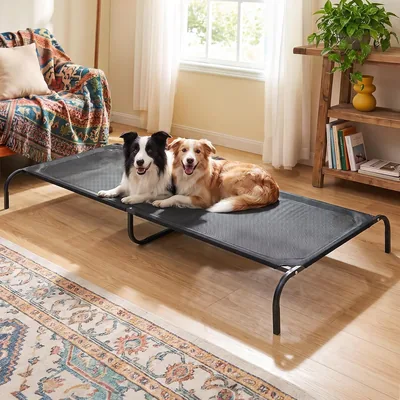 Cama Elevada para Perro Grande YUDSKU, 185x63x20cm con Malla Lavable | Mejor Precio