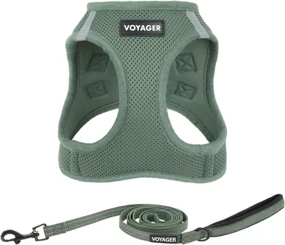 Best Pet Supplies Voyager Step-in Air - Arnés de Malla para Todo Tipo de Clima y Correa Reflectante para Perro de 5 pies