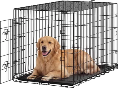 Jaula para Perros Feandrea, Plegable, 1 Puerta, Acero, 122.5 x 74 x 80 cm