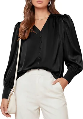 PRETTYGARDEN Satin Long Sleeve Blouse - Best Deal