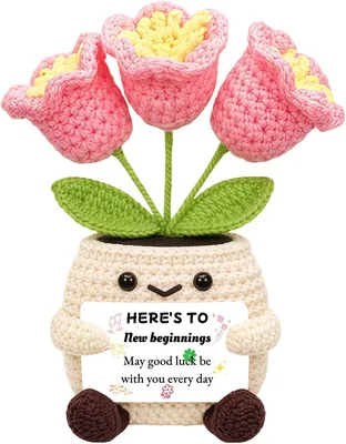DAWKJOA Crochet Tulip Doll New Job Gift - Best Deal