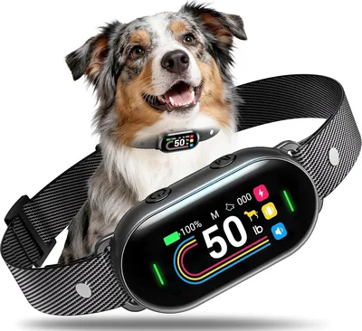 PetSafe PB920 Bark Collar 57% Off
