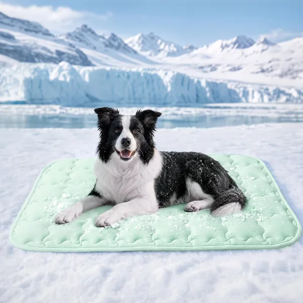 Luciphia Colchón Refrigerante para Perros y Gatos, Alfombra para Mascotas, Almohadilla Refrescante para Verano, Lavable, Mantel Refrigerante, Grande, M