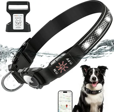 Collar Luminoso Impermeable para Perro con Soporte AirTag, Código QR, 3 Modos de Luz, Nailon Suave y Transpirable, Hebilla Ajustable