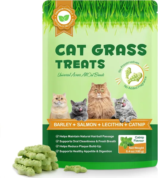 Galletas de Catnip y Avena de 180 g para Gatos - Crujientes con Salmón - Anti-Baldos, Digestión y Limpieza Dental - Natural, Sin