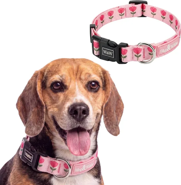 Wag and Wilder Dog Collar मीडियम साइज - 32% ऑफ (Beagle, Pit Bull Terrier & Boxer के लिए भारी ड्यूटी एडजस्टेबल पेट कॉलर)