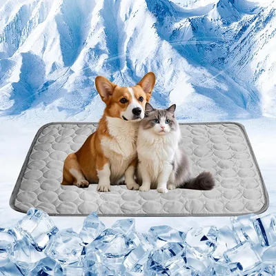 Bwaliffury Alfombrilla Refrigerante per Animali Domestici, 100 x 75 cm, Best Deal