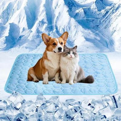 Bwaliffury Alfombrilla Refrescante para Mascotas, 100 x 75 cm, Best Deal