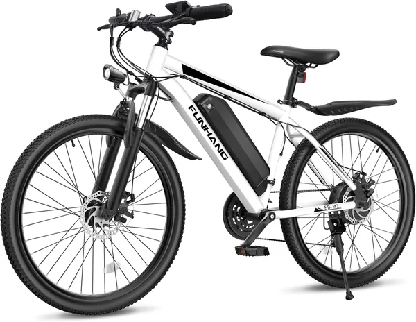Funhang Electric Bike