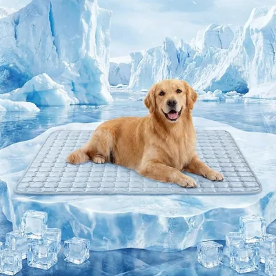 FunFurry Cooling Mat Dog Pad 44X32" - Best Deal