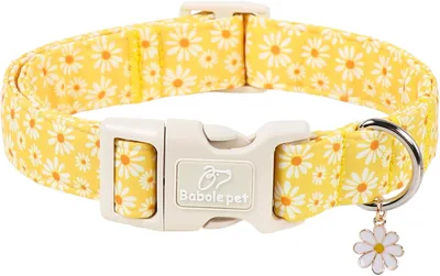 Babole Pet Yellow Daisy Dog Collar 37% Off