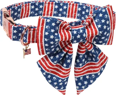DOGWONG 4th of July Flag Dog Collar - 44% Off