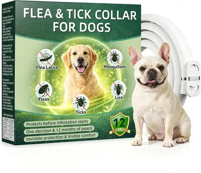 Collare Antipulci e Zecche per Cani 65 cm, Repellente Naturale con Oli Essenziali di Lavanda