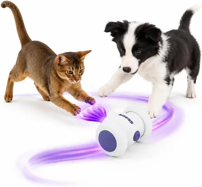 Skasii Interactive Cat Toys - Running Automatic Kitten Toys Best Deal