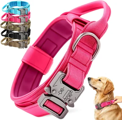 Collar Táctico DAQI para Perro, Collar Militar de Nailon Grueso con Asa y Hebilla de Metal