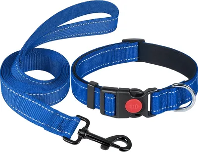 Guoxintech Reflective Nylon Dog Collar & Lead Set Best Deal