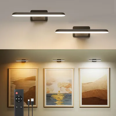 ZHIJAY Picture Lights Rechargeable Wall Light Best Deal