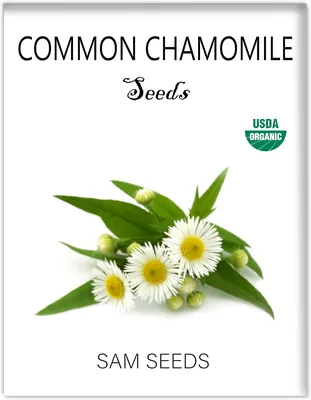 Chamomile Seeds - Premium Non-GMO Fast Growing Flowers for Tea