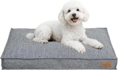 BingoPaw Medium Orthopédico para Perros, Cama de Verano con Cubierta Extraíble y Lavable, Forro Impermeable, 75 x 50 x 10 cm