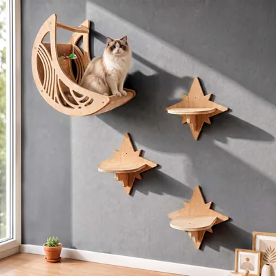 Moon & Star Cat Wall Shelves Best Deal