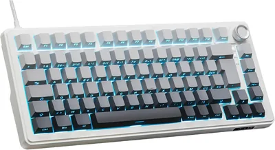 G-Lab Keyz Elite 300 HE GRW - Clavier de jeu magnétique 75% AZERTY FR | Commutateurs magnétiques Hall, Format 75%, 8000 Hz P - Meilleure Offre
