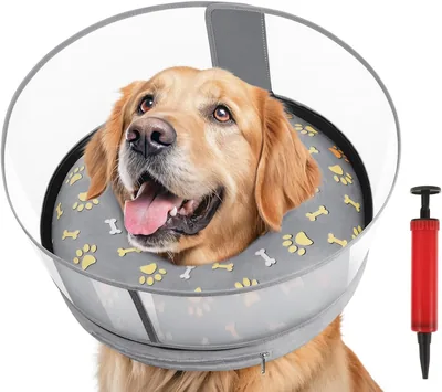 Collar de Recuperación para Perros, Collar Isabelino con Pantalla Retráctil y Inflable, Mejores Precios en Amazon — Comparar y Ahorrar Ahora