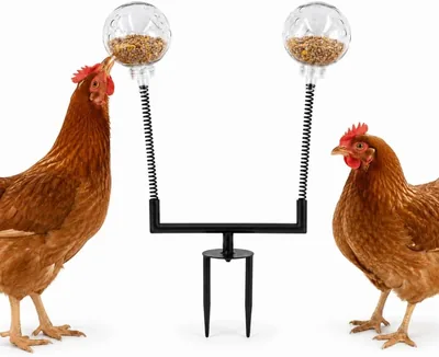 BingegePet Chicken Coop Accessory: Slow Feeder & Ground Stake