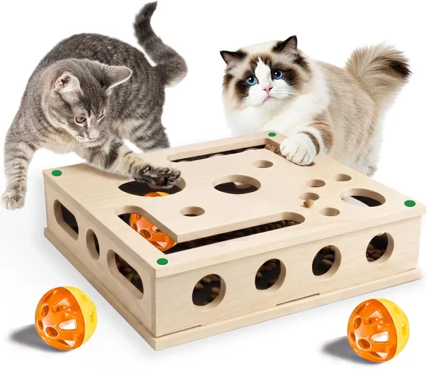 Cat Scratch Puzzle Box