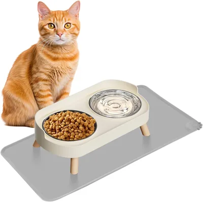 Tazones para Gatos de Acero Inoxidable, Comedero Elevado para Gato, Mejores Precios en Amazon — Ahorra Ahora