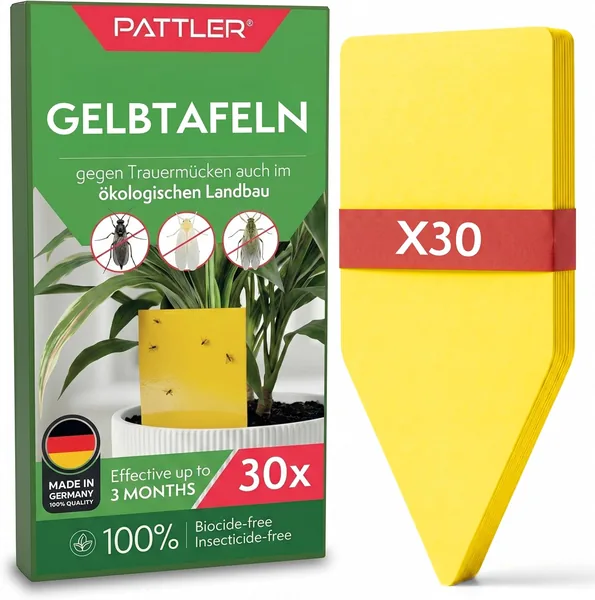 Pattler Yellow Stickers Fungus Gnats