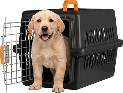 SELECTSHOP Transportadora para Gato y Perro: Caja de Viaje para Mascotas con 27% de Descuento