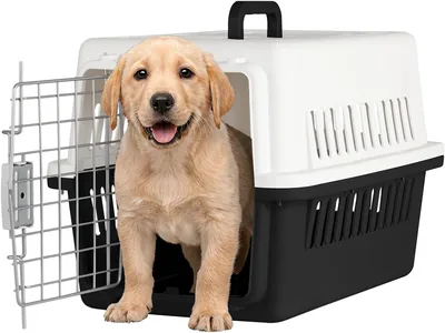 SELECTSHOP Transportadora para Gato y Perro - Caja de Viaje para Mascotas - 27% Descuento