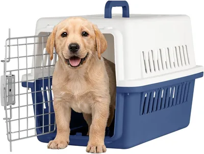 SELECTSHOP Transportadora para Mascotas, Jaula de Viaje para Gato o Perro