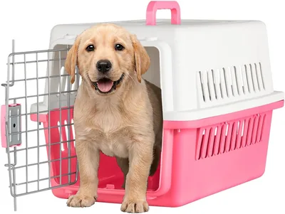 Jaula Transportadora SELECTSHOP para Gato Perro Caja de Viaje Mascotas