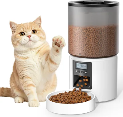 Dispenser per Cibo per Gatti Automatico 4L con Programmatore di Orario e Schermo LCD - Risparmia il 12%