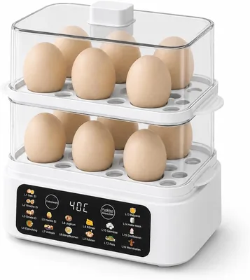 FLOWCASA Eggfryser för 12 egg, multifunkktionell stjärnare 2.5L med 16 program, 300W eggfryser i inredningssyft