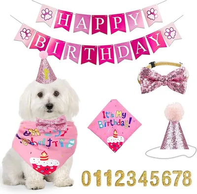 JIAQCN 5 Piezas Cumpleaños Perro, Conjunto Fiesta Completo para Mascotas Pequeñas y Medianas, Disfraces Divertidos para Celebrar