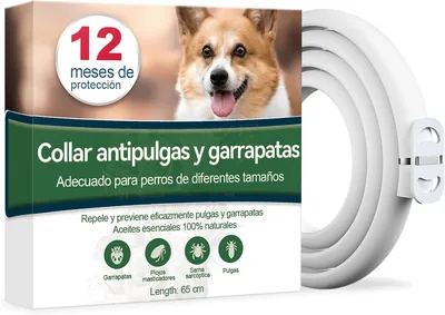 Collar Antiparasitario para Perros, Seguro y Eficaz, 12 Meses de Protección, Mejor Oferta