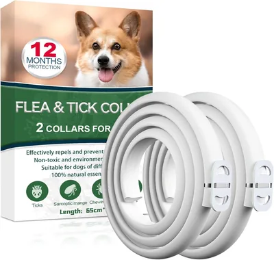 Collar antiparasitario para perros, seguro y efectivo contra pulgas, collar de 12 meses de duración (65 cm) para perros pequeños