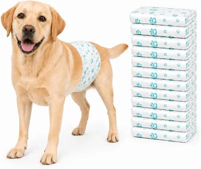 Balabow Pañales para Perro, Pantalones Fisiológicos, Desechables, Talla L (Azul) - Mejor Oferta