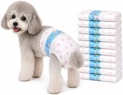 Balabow Pañales para Perro, Pantalones Fisiológicos Desechables, Rosa, Talla M - Mejor Oferta