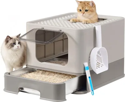 Feandrea Caja de Arena para Gatos con Traza Extraíble, Pala y Cepillo, 2 Entradas, para Gatos hasta 15 kg, Gris Claro - Mejor Oferta