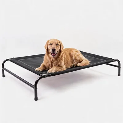 MICOOYO Outdoor Dog Bed Black L Size Elevated Waterproof Best Deal