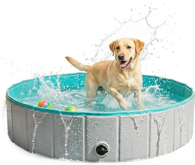 VEKLIQ Piscina Inflable para Perros Pequeños y Grandes, Tubo de Natación Rigido Antideslizante Portatil para Mascotas con Desagüe
