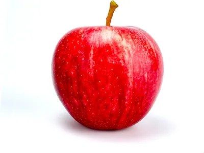 Apple Red South Africa, 900-1000g Best Deal