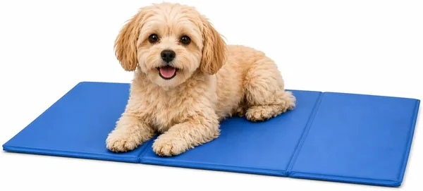 Colchón de enfriamiento Petzee para mascotas 50 x 40 cm - Camá de enfriamiento - Enfriamiento automático - Cama grande para perros - Manta - Cama para perros - Cama para perros de verano - Impermeable