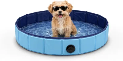 BESCH Pool para Perros y Gatos Portátil, Baño para Mascotas con Drenaje, Piscina No Deslizante para Verano, Interior y Exterior 80Ø x 20