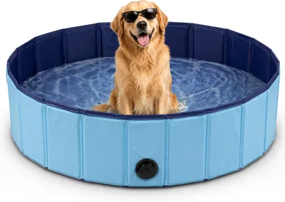 BESCH Piscina para Perros y Gatos Doblable, Baño Portátil para Mascotas con Drenaje, Piscina Antideslizante para Verano, Uso Interior y Exterior 120Ø x 3