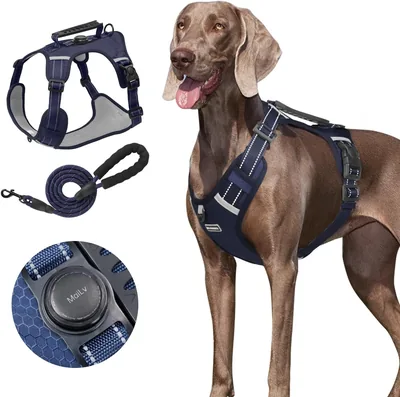 Arnés para Perro con Correa y Soporte para AirTag - Ajustable, Azul Marino (Talla M)