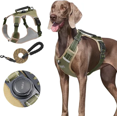 Arnés para Perro con Correa y Soporte para AirTag - Ajustable, Cómodo y Seguro (Caqui, XS) Mejor Oferta